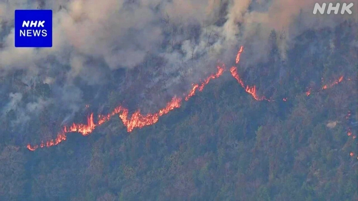 Đám cháy tại Imabari bùng phát từ chiều tối 23/3 (Ảnh: NHK).