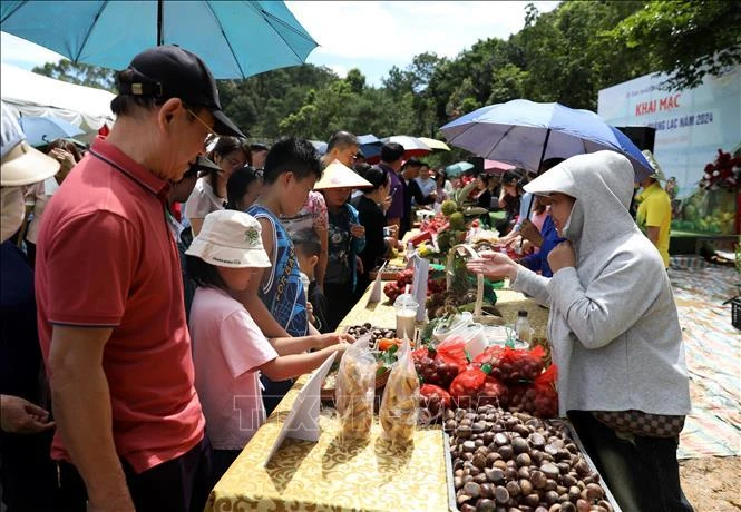 Các hộ trồng dẻ ở xã Quảng Lạc, thành phố Lạng Sơn giới thiệu, quảng bá đặc sản hạt dẻ với đặc trưng hạt to, ăn bùi và rất thơm tới du khách trong và ngoài tỉnh.