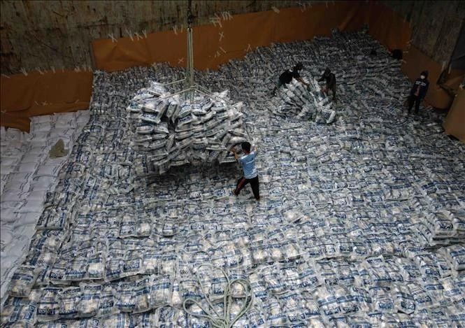 Xuất khẩu gạo tại Tổng Công ty Lương thực miền Nam. Ảnh: Vũ Sinh/TTXVN