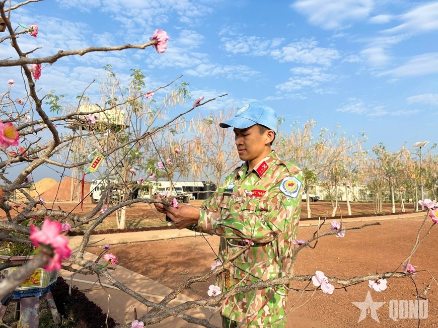 Trung úy Nguyễn Trung Kiên trang trí cành đào Tết. Ảnh: HẢI YẾN