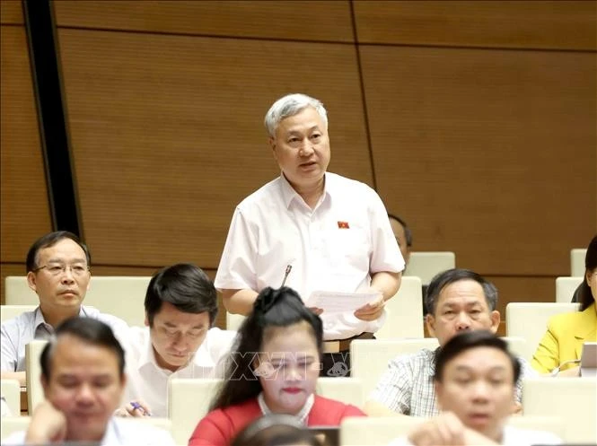 Đại biểu Quốc hội tỉnh Bắc Giang Trần Văn Lâm phát biểu. Ảnh: Phương Hoa/TTXVN