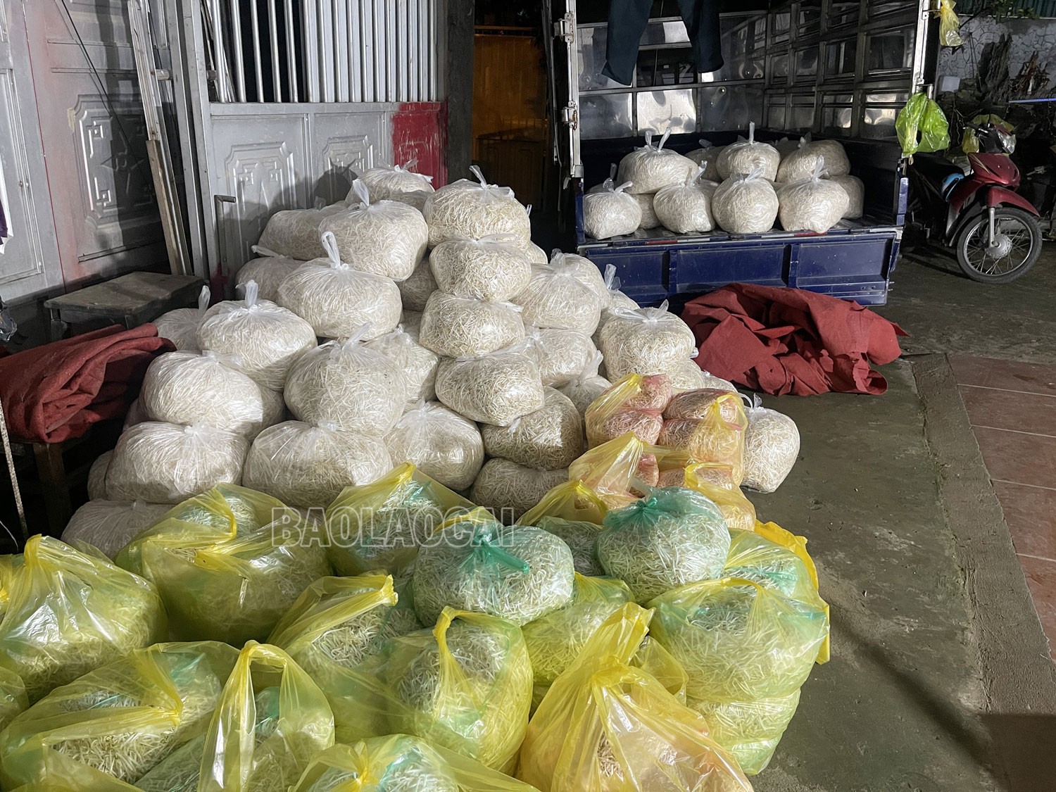 Giá đỗ chứa chất độc hại được các cơ sở chuẩn bị đưa lên xe đi tiêu thụ. t4.jpg