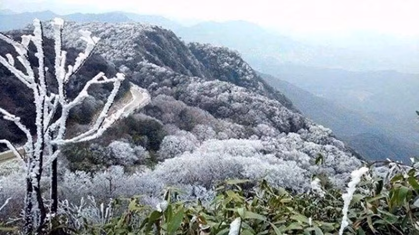 Ngày và đêm 5/11, không khí lạnh tiếp tục ảnh hưởng đến các nơi khác ở phía Đông Bắc Bộ - Ảnh: Trung tâm DBKTTV quốc gia.