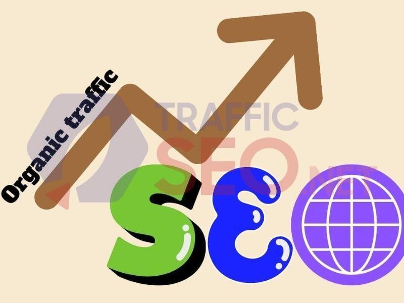 Organic traffic là loại traffic quan trọng đối với website. image003.jpg