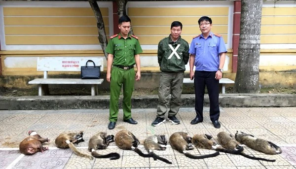 Đối tượng vận chuyển trái phép động vật hoang dã bị Công an Nghệ An bắt giữ.