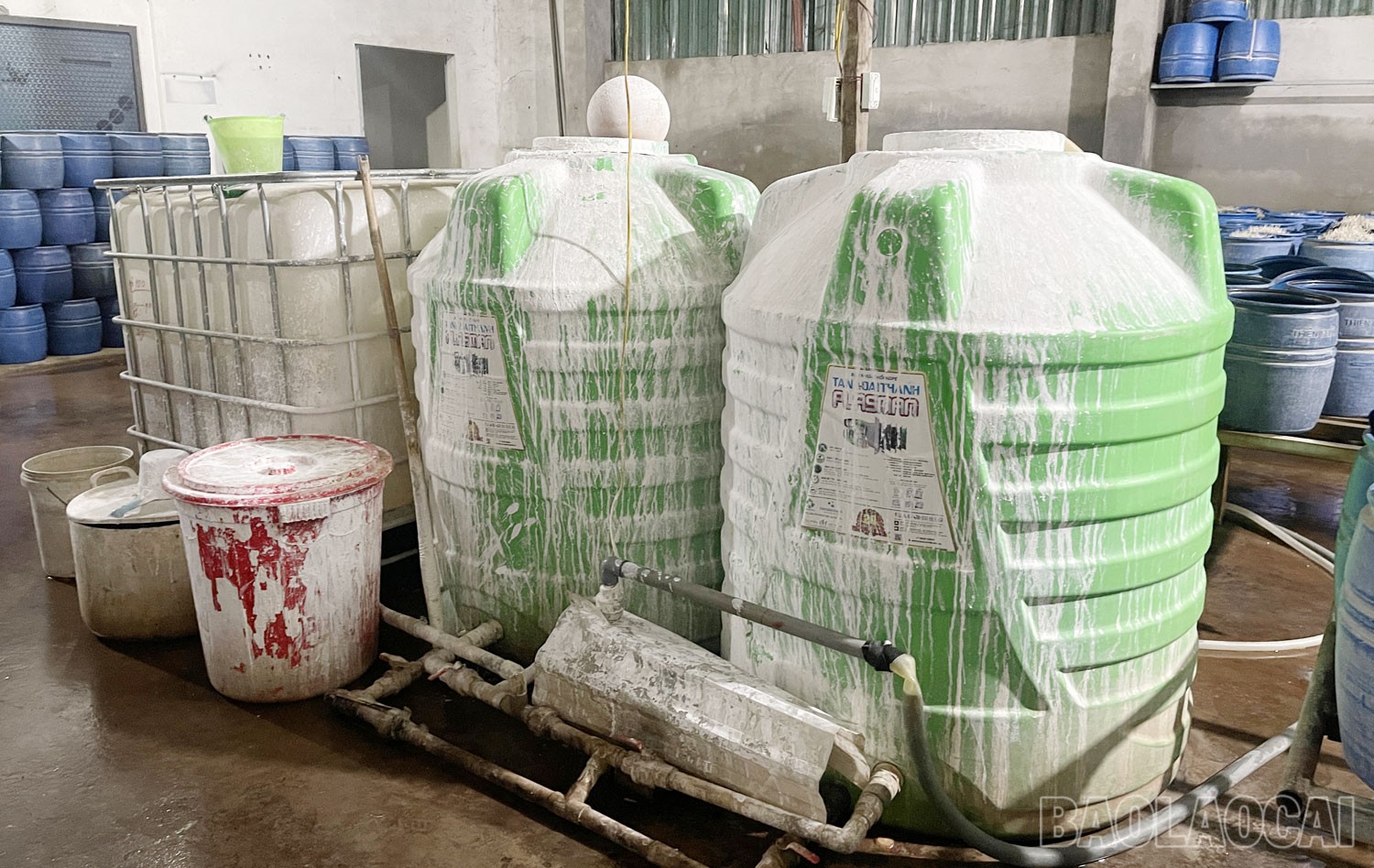 Các đối tượng sử dụng nước vôi trong pha lẫn hóa chất để ngâm ủ giá đỗ. t2.jpg