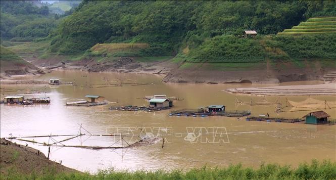 Các hộ nuôi cá lồng ở Đà Vị (Na Hang, Tuyên Quang) bị thiệt hại nặng sau trận mưa. Ảnh tư liệu: Văn Tý/TTXVN Các hộ nuôi cá lồng ở Đà Vị (Na Hang, Tuyên Quang) bị thiệt hại nặng sau trận mưa. Ảnh tư liệu: Văn Tý/TTXVN