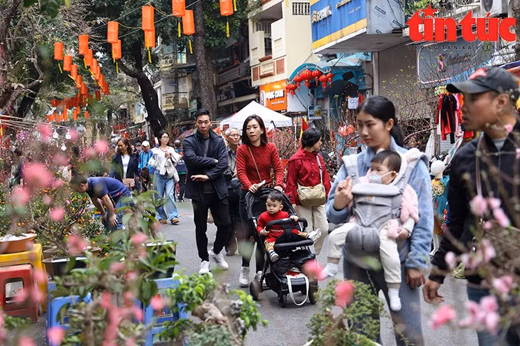 Bắc Bộ chuyển rét đậm.