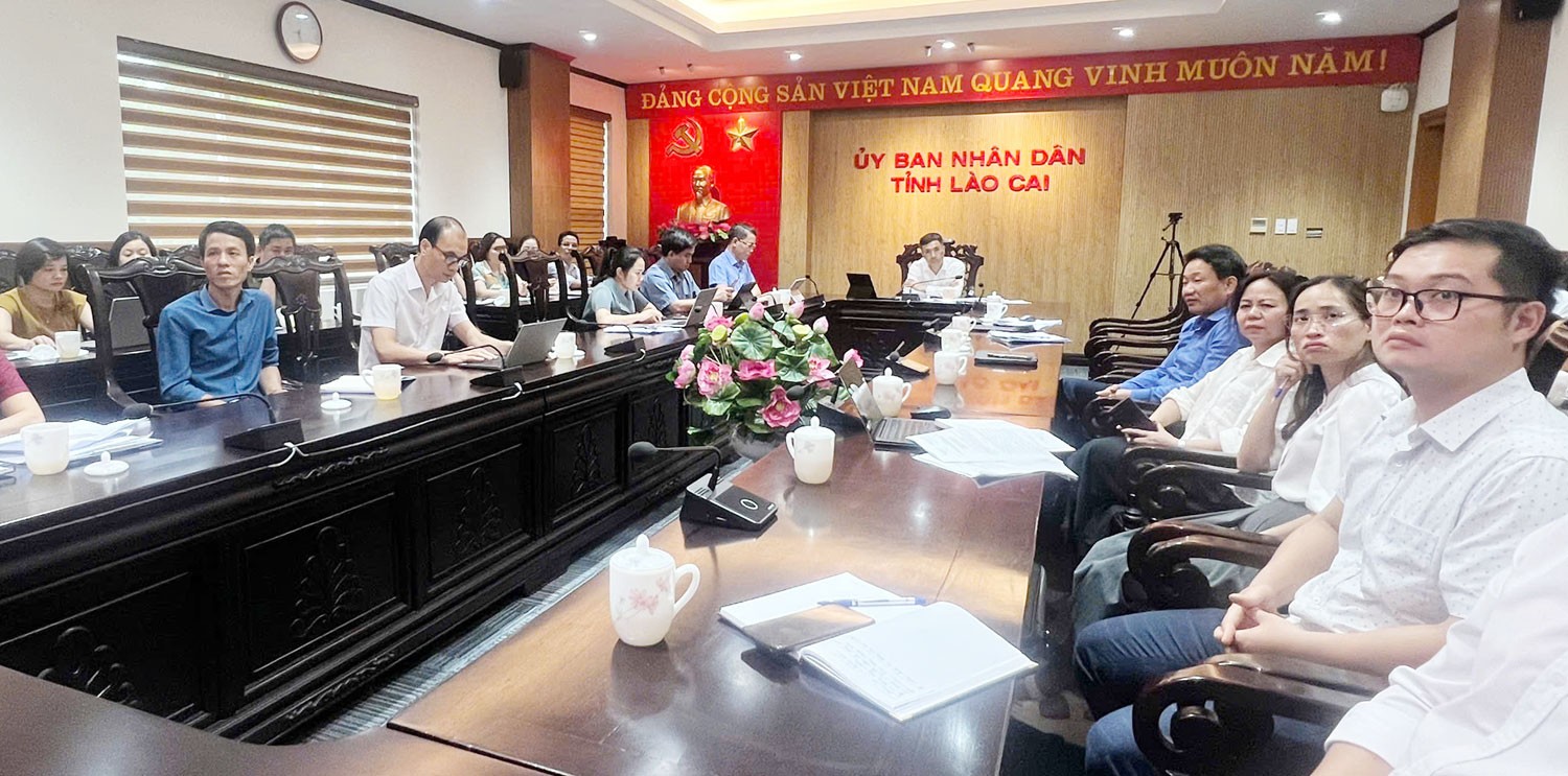 Đại biểu các sở, ngành tỉnh Lào Cai dự hội nghị tại điểm cầu UBND tỉnh. tt5.jpg