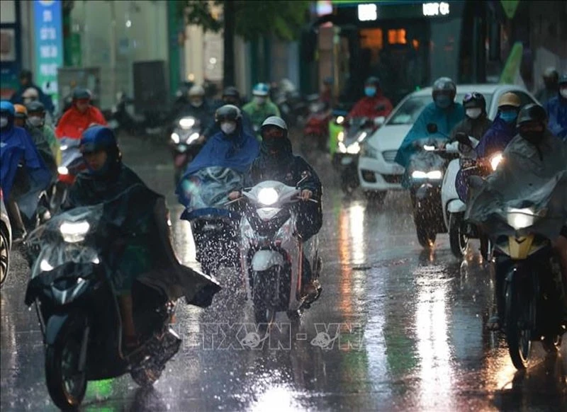 Ảnh minh họa: TTXVN