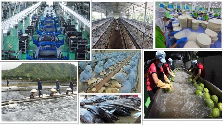 Sự trưởng thành của khu vực tư nhân trong nước là một trong những thành tựu quan trọng nhất của quá trình đổi mới Sự trưởng thành của khu vực tư nhân trong nước là một trong những thành tựu quan trọng nhất của quá trình đổi mới