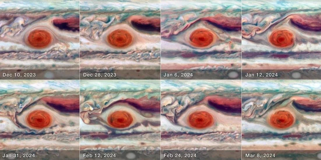 Sự thay đổi của Vết Đỏ Lớn trên sao Mộc. Ảnh: NASA/ESA/Amy Simon