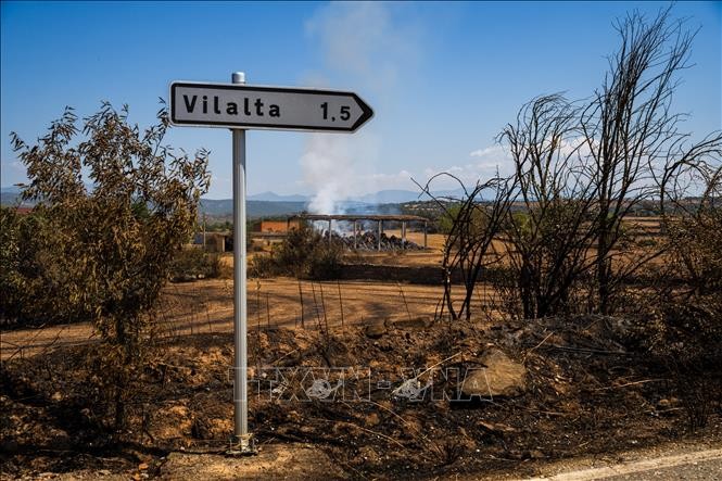 Khu vực bị tàn phá do cháy rừng ở Lleida, Tây Ban Nha. Ảnh: THX/TTXVN