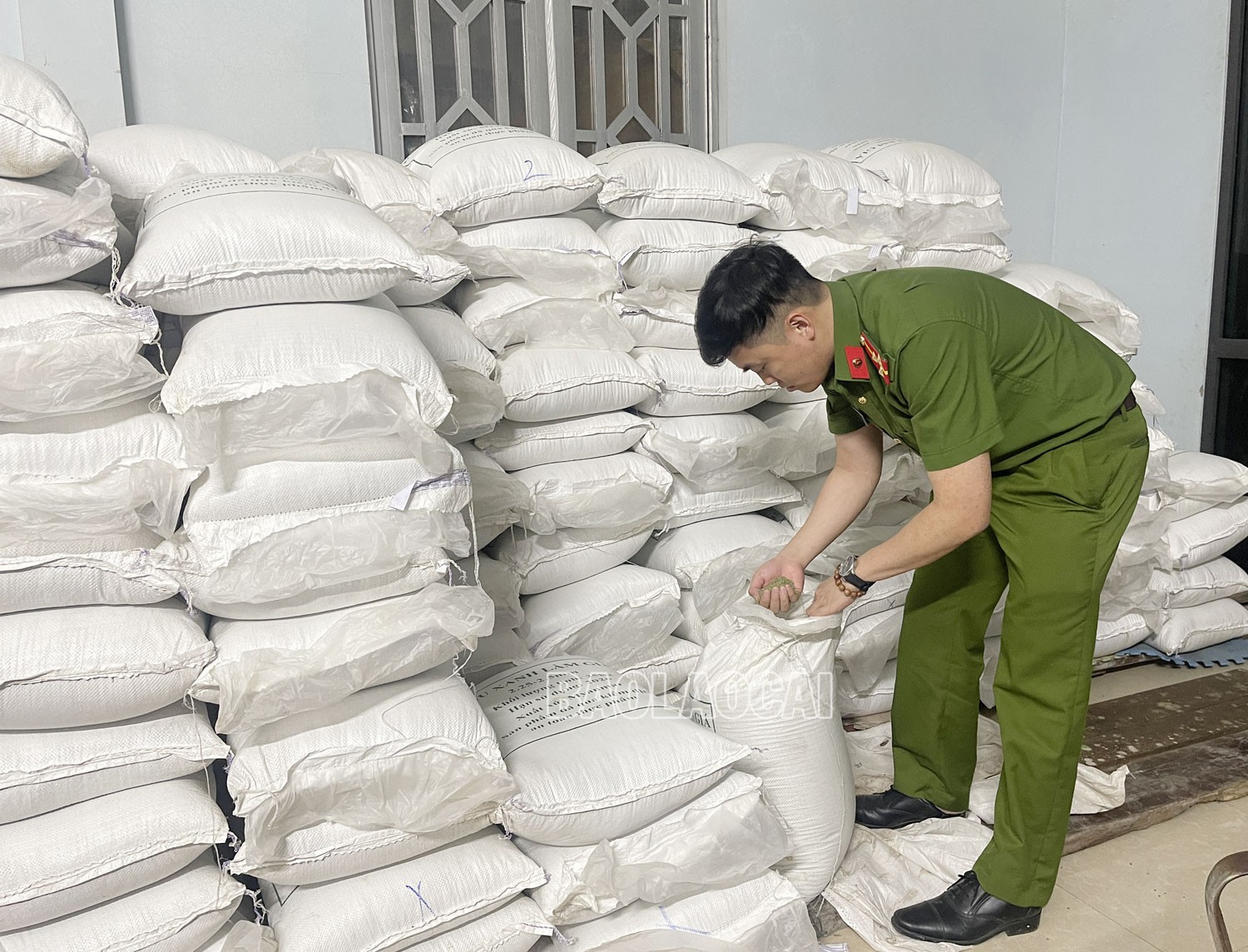Các bao tải đỗ xanh - nguyên liệu để làm giá đỗ. t1.jpg