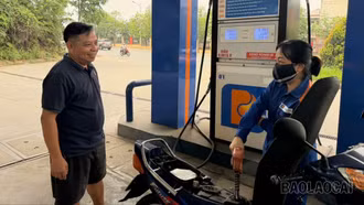  Lào Cai: Sẵn sàng cho việc cung ứng và tiêu dùng xăng E10