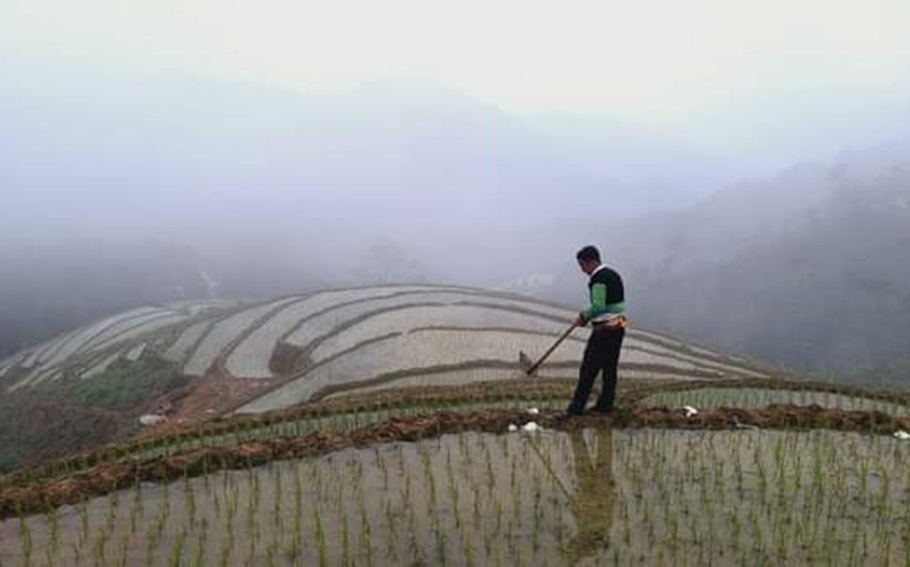 Luôn tâm niệm mình là người của Đảng ảnh 1