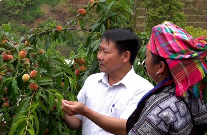 Yên Bái phát triển nông nghiệp theo hướng thích ứng với biến đổi khí hậu ảnh 1