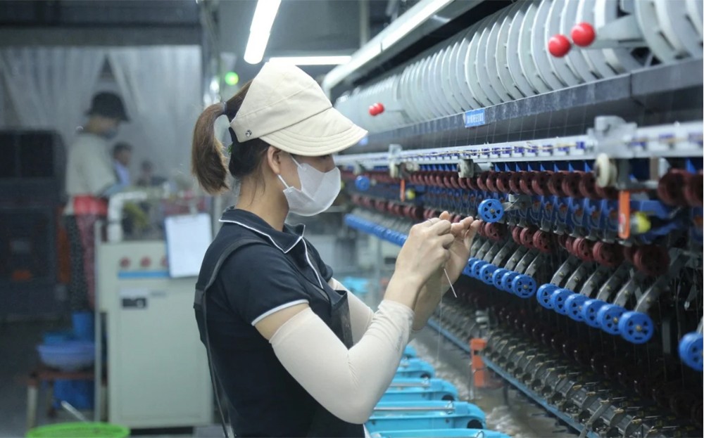 Lũ về 'tặng' phù sa, bãi dâu xanh ngút ngát ảnh 6 Lũ về 'tặng' phù sa, bãi dâu xanh ngút ngát ảnh 6