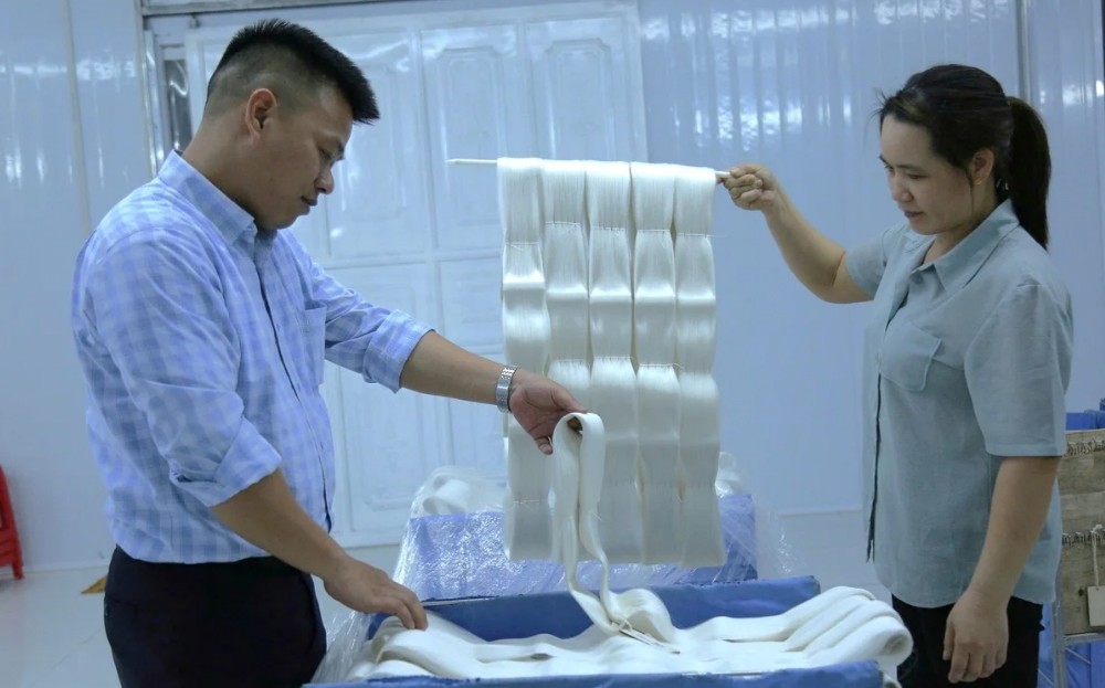 Lũ về 'tặng' phù sa, bãi dâu xanh ngút ngát ảnh 7 Lũ về 'tặng' phù sa, bãi dâu xanh ngút ngát ảnh 7