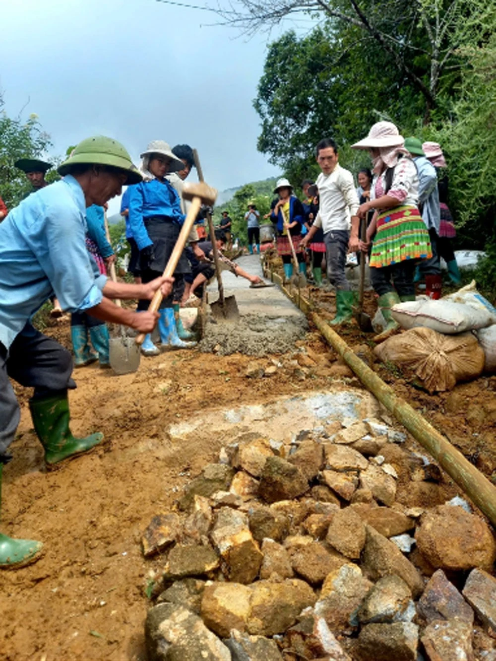 “Hạt giống đỏ” nơi đại ngàn ảnh 1