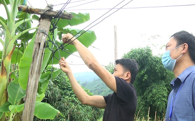 Hạnh Phúc "ngóng" điện quốc gia ảnh 3 Hạnh Phúc "ngóng" điện quốc gia ảnh 3