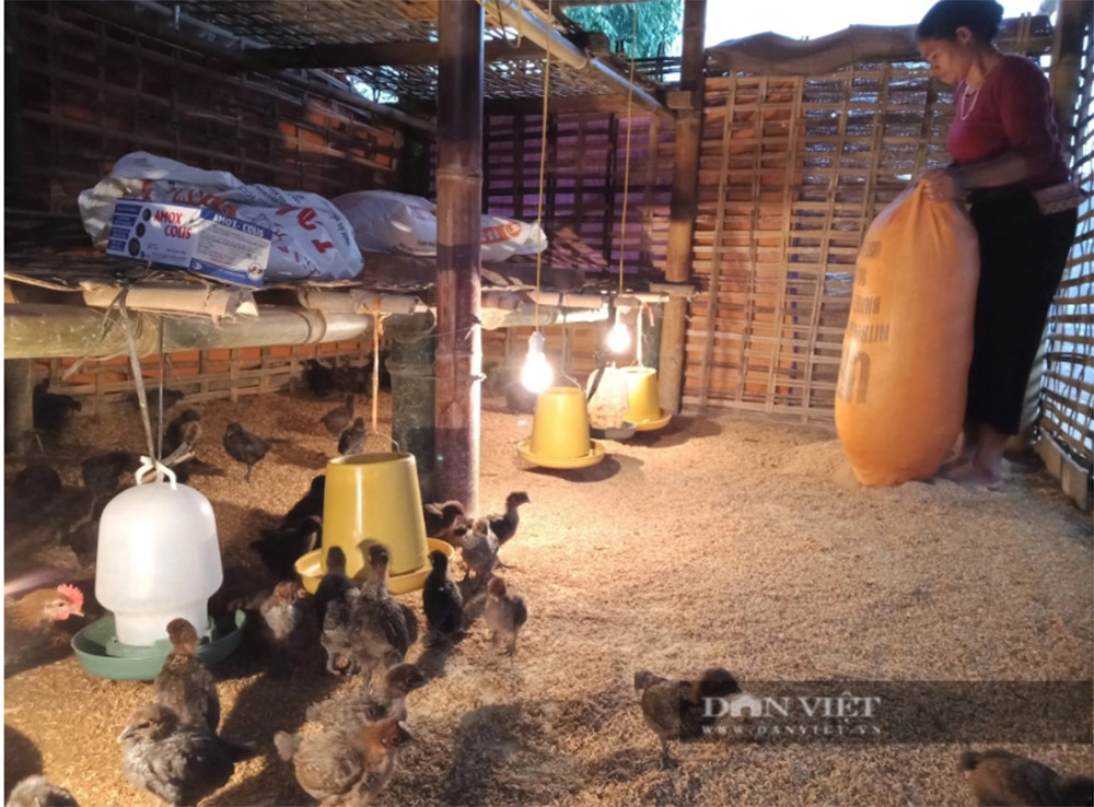 Chuyện về nữ thủ lĩnh người Mông giúp chị em thay đổi cuộc sống ảnh 3