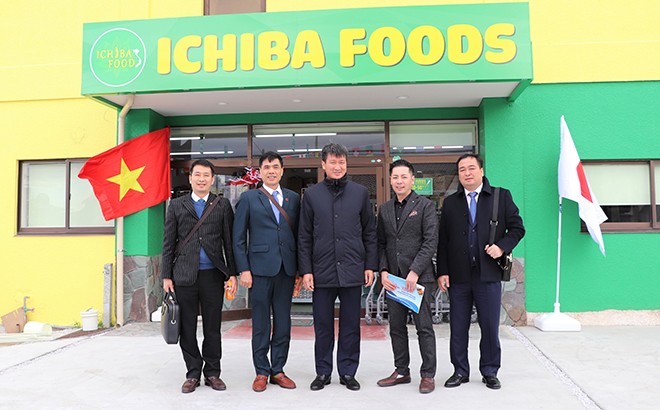 Chủ tịch UBND tỉnh Trần Huy Tuấn làm việc với Đại sứ quán Việt Nam tại Nhật Bản ảnh 4 Chủ tịch UBND tỉnh Trần Huy Tuấn làm việc với Đại sứ quán Việt Nam tại Nhật Bản ảnh 4