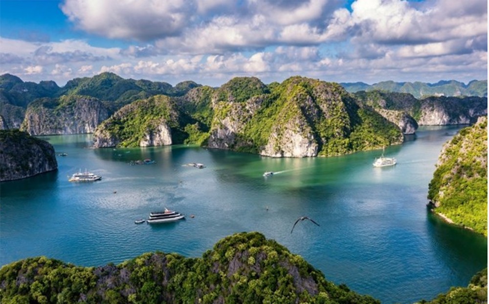 Điểm đến hoàn toàn mới ở Cát Bà sẽ ra mắt dịp 30/4 này ảnh 1