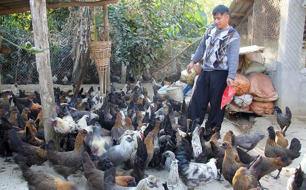 Nơi tre “gọi” bình minh ảnh 1