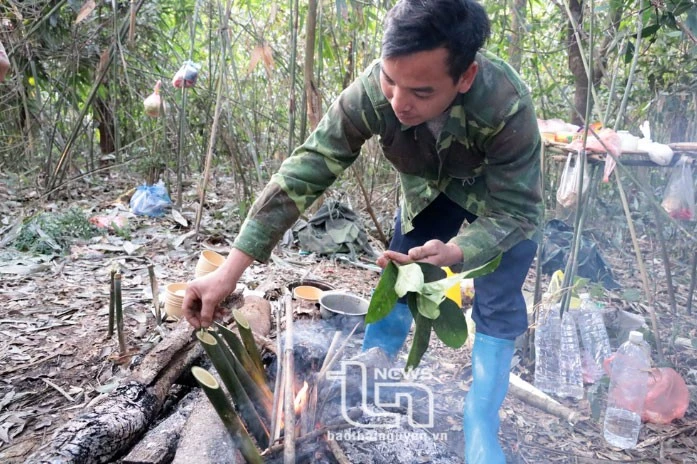Vén màn' bí ẩn chè cổ núi Tam Đảo thuộc địa phận Thái Nguyên - Kỳ 2: Giống chè Shan quý ảnh 10
