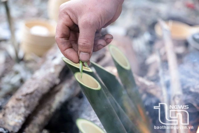 Vén màn' bí ẩn chè cổ núi Tam Đảo thuộc địa phận Thái Nguyên - Kỳ 2: Giống chè Shan quý ảnh 11