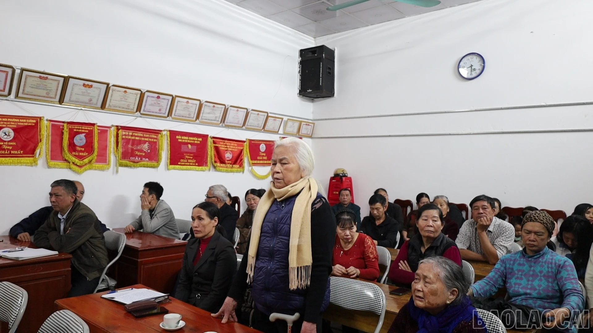 baolaocai-br_5-5025.jpg