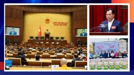 Điểm tin thời sự trong ngày 11/12