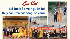 Lào Cai nỗ lực bảo vệ nguồn lợi thủy sản trên các sông, hồ chứa