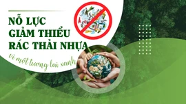 Nỗ lực giảm thiểu rác thải nhựa vì một tương lai xanh
