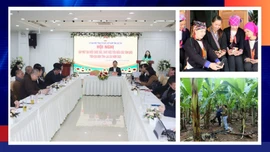 Điểm tin thời sự trong ngày 30/12