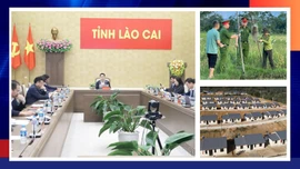 Điểm tin thời sự trong ngày 10/12