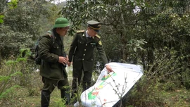Bảo vệ đa dạng sinh học, hòa hợp với thiên nhiên để phát triển bền vững