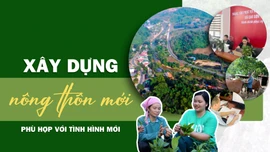 Xây dựng nông thôn mới phù hợp với tình hình mới