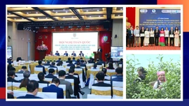 Điểm tin thời sự trong ngày 13/12