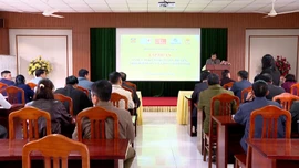 Nâng cao kỹ năng tuyên truyền, trợ giúp pháp lý và hòa giải ở cơ sở