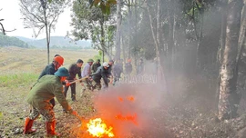 Thực tập phương án phòng cháy, chữa cháy rừng tại xã Mường Hum