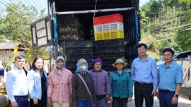 Hỗ trợ con giống, vật tư xây dựng mô hình chăn nuôi gà an toàn sinh học tại xã Phong Hải