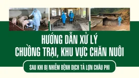 Hướng dẫn xử lý chuồng trại, khu vực chăn nuôi sau khi bị nhiễm bệnh dịch tả lợn châu Phi