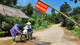 13 xã, phường khống chế được bệnh dịch tả lợn châu Phi