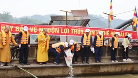 Thả cá phóng sinh tái tạo nguồn lợi thủy sản trên sông Hồng