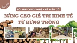 Bảo Yên đổi mới công nghệ chế biến gỗ, nâng cao giá trị kinh tế từ rừng trồng