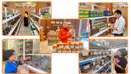 Sản phẩm OCOP sẵn sàng phục vụ thị trường Tết