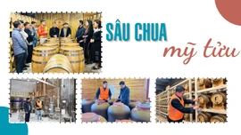 Sâu Chua mỹ tửu
