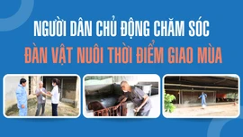 Người dân chủ động chăm sóc đàn vật nuôi thời điểm giao mùa
